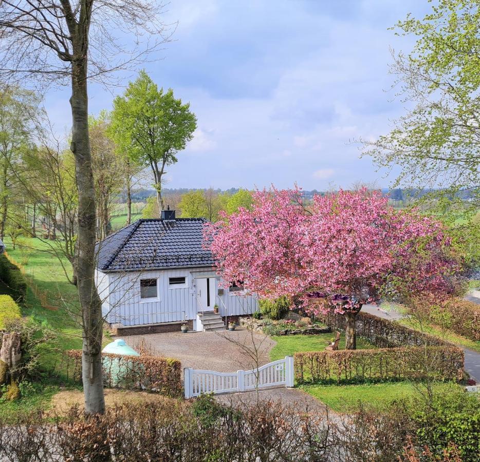 Kirschblüte *